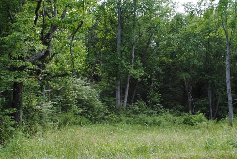 40 Acres, 9999 Barton Mill Road, Corbin, KY 40701 Land and Farm