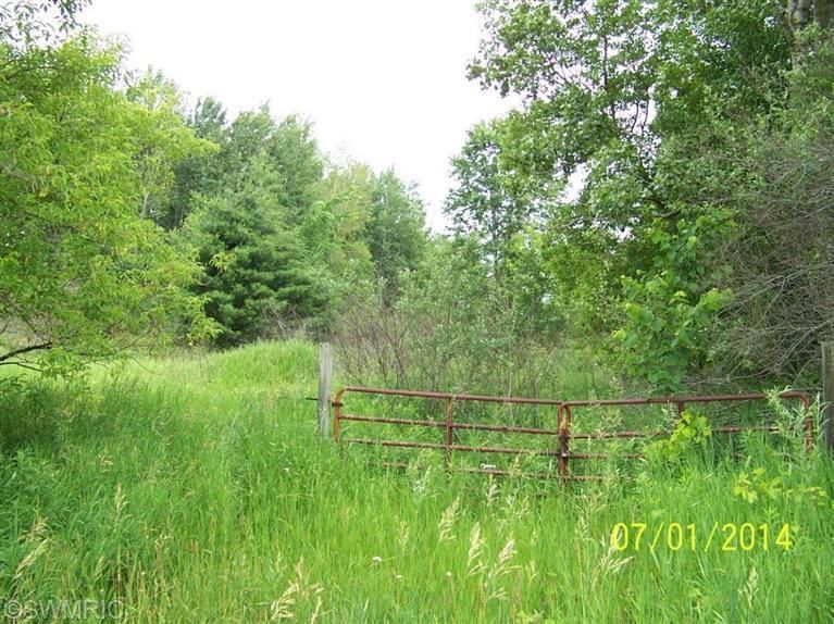 Hoover Rd., Barryton, MI 49305 Land and Farm