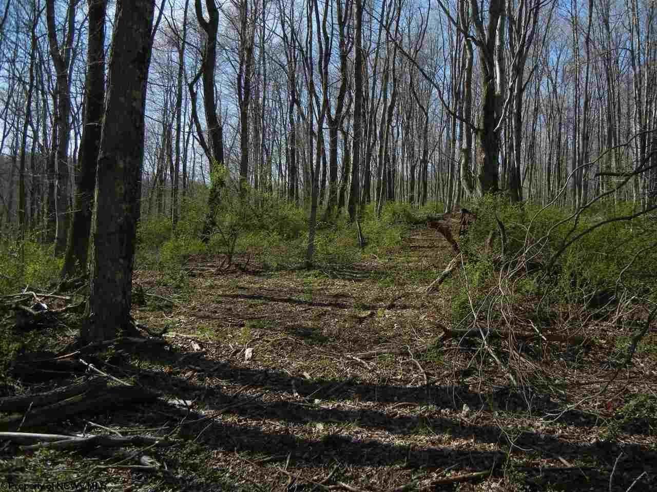 130 Acres, 321 Pharoahs Run Road, Rivesville, WV 26588 Land and Farm