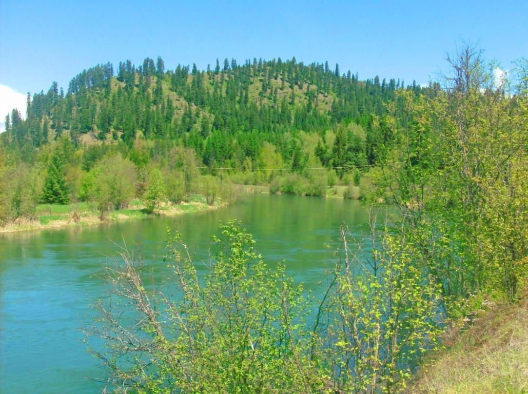 7.83 Acres, Lot 50A Lower Mud Gulch, Priest River, ID 83856 Land and Farm