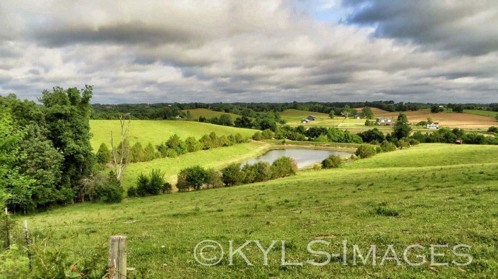 120 Acres, 12000 Springfield Rd, Perryville, KY 40468 Land and Farm