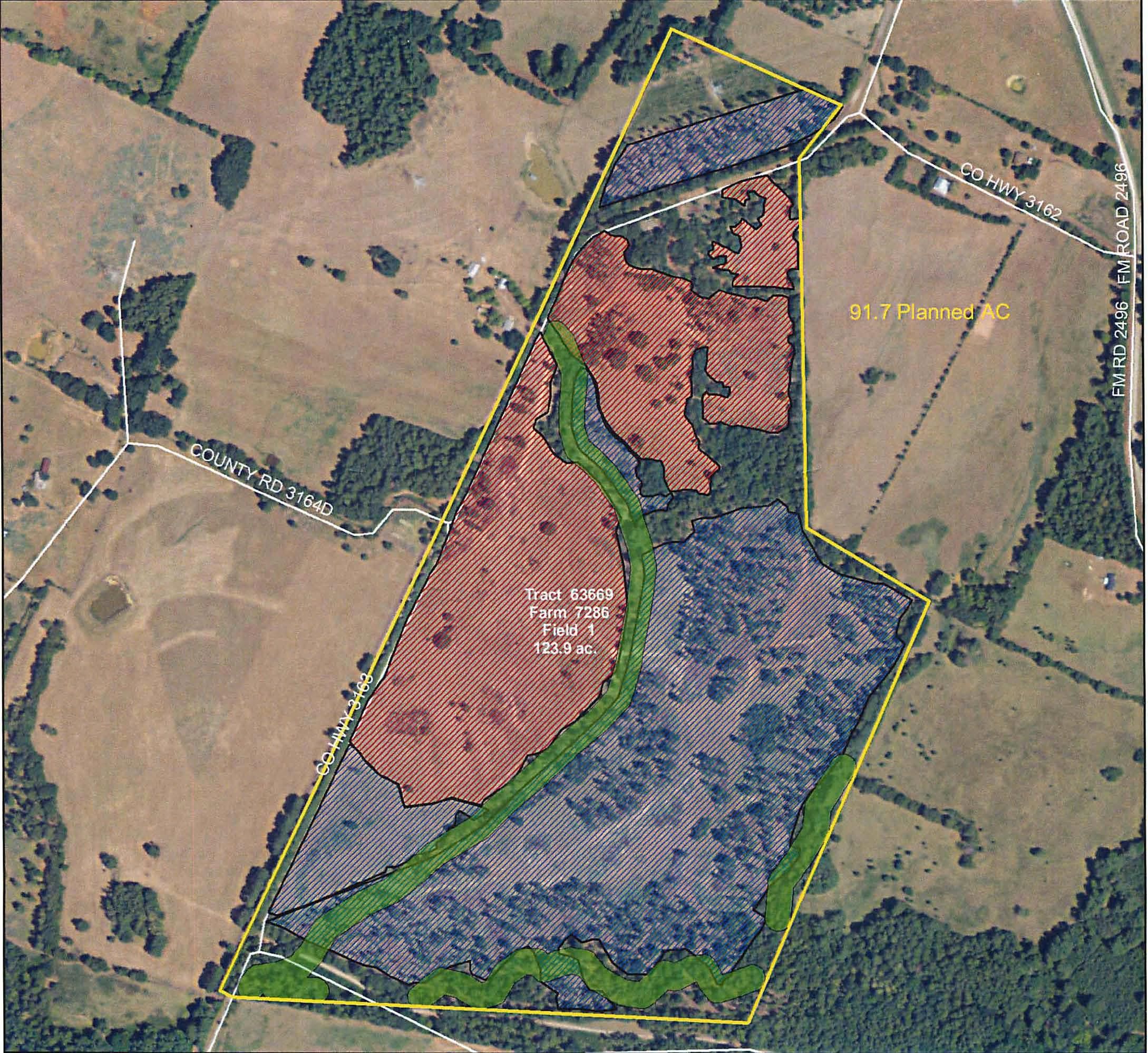 123.9 Acres, County Road 3163, Laneville, TX 75667 Land and Farm