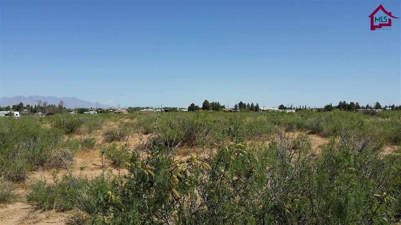 2 Acres, 520 EL PASEO ROAD, Chaparral, NM 88081 Land and Farm