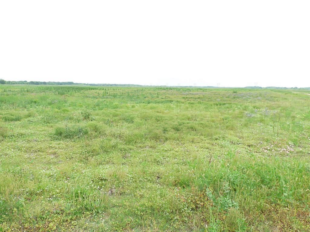 5 Acres, 0 FM 616, Blessing, TX 77419 Land and Farm
