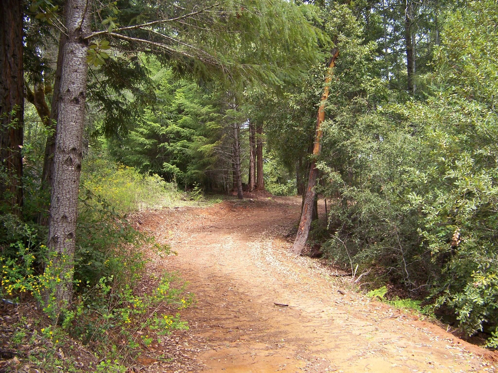 40 Acres, Nash Mill Road, Philo, CA 95466 Land and Farm