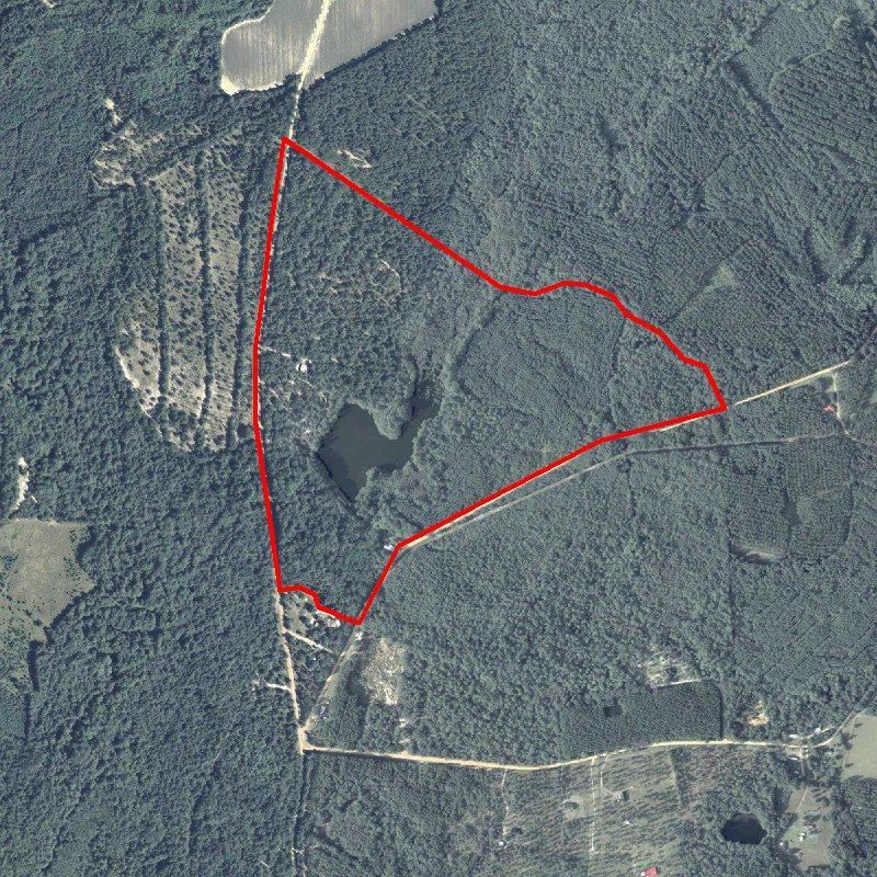 125 Acres, 1382 Martin Rd, Nevils, GA 31321 Land and Farm
