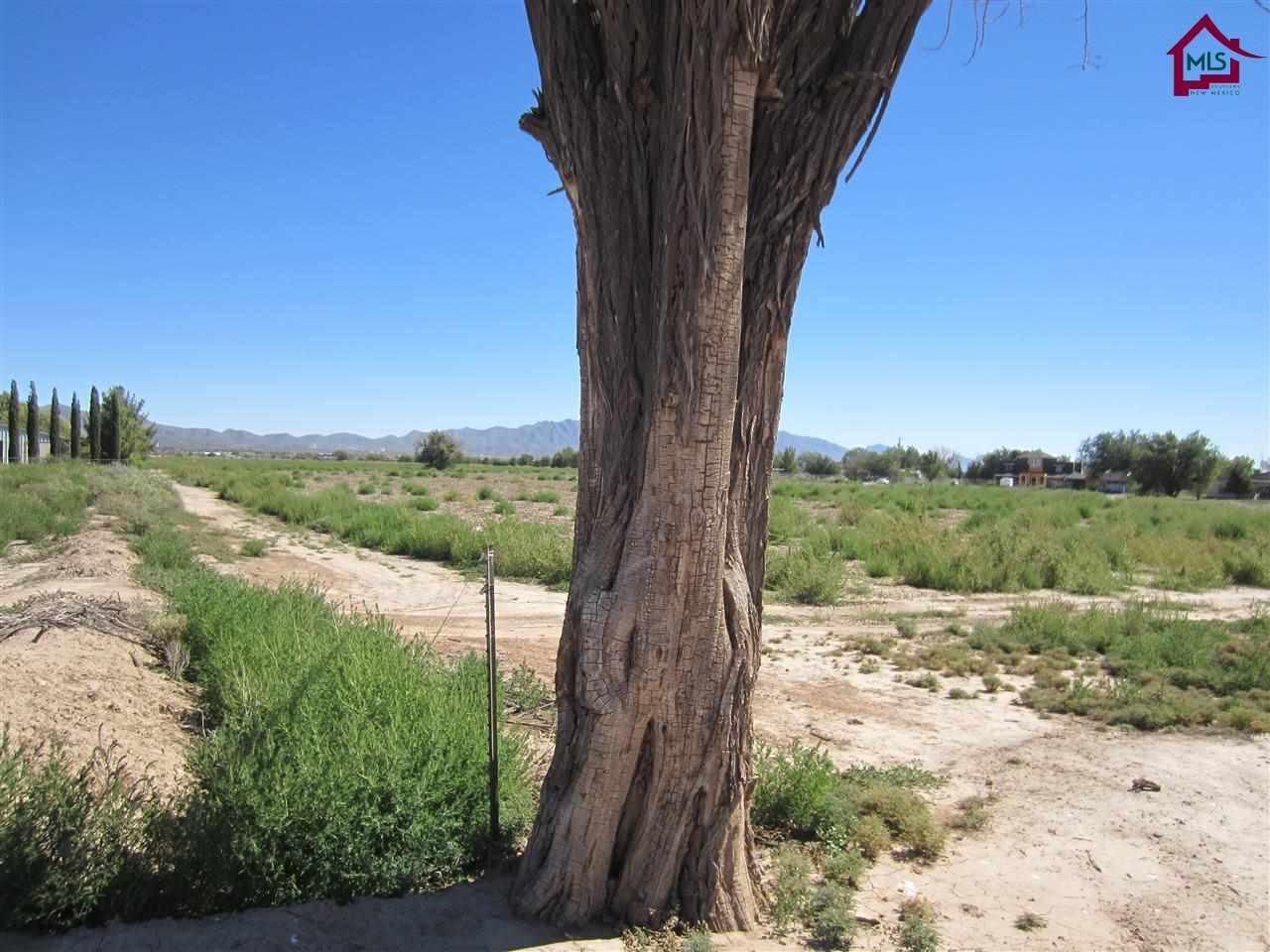 5.95 Acres, 45 SCUDBUSTER LANE, Berino, NM 88024 Land and Farm