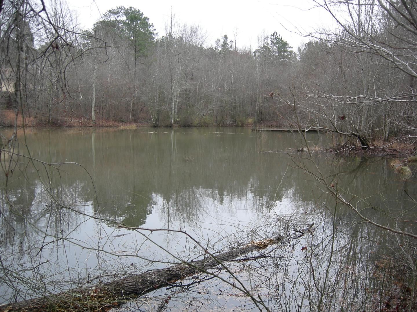 98 Acres, 8575 Cascade Palmetto Hwy, Palmetto, GA 30268 Land and Farm