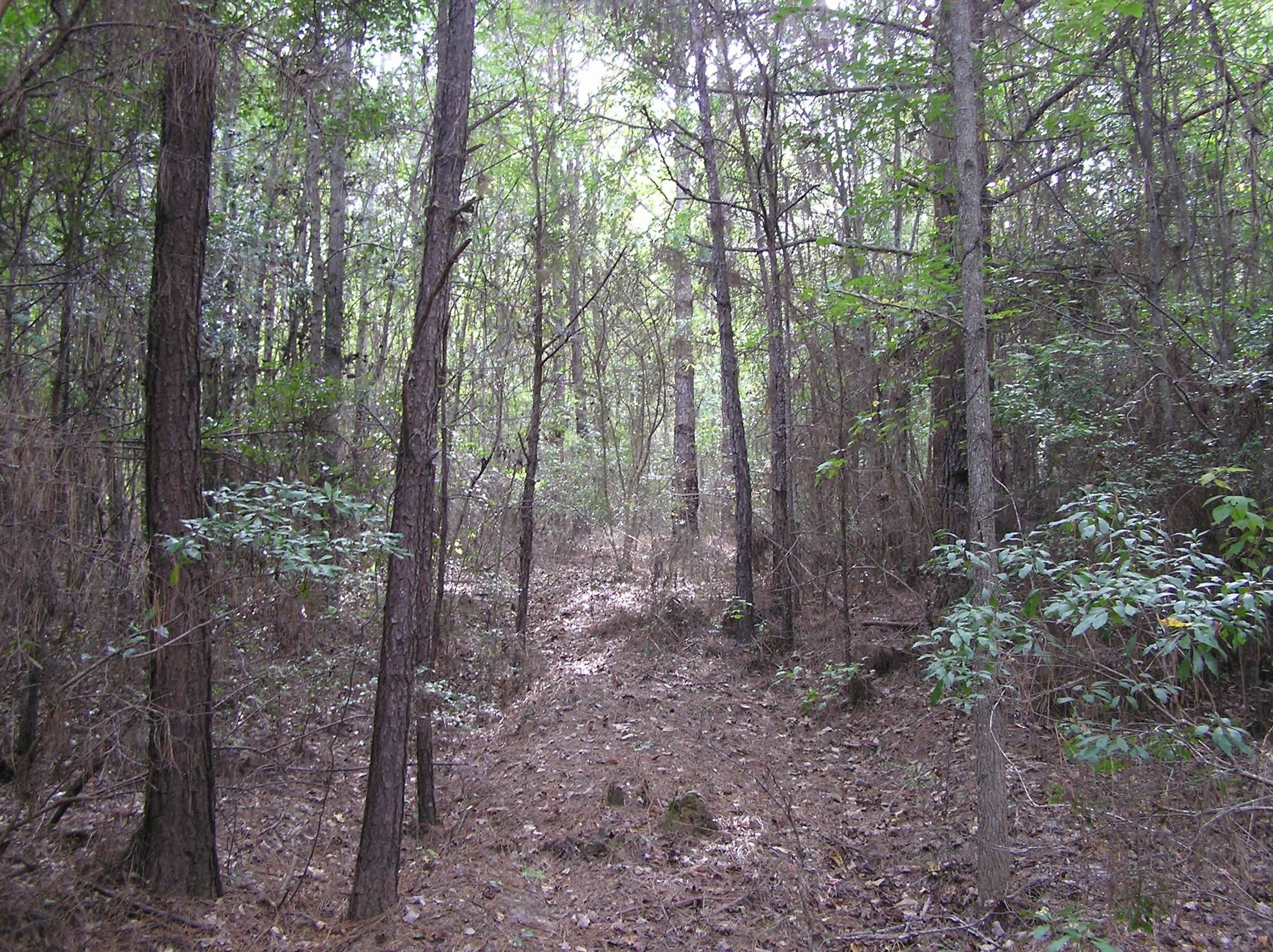 16.5 Acres, Helicon Rd., Grady, AL 36036 Land and Farm
