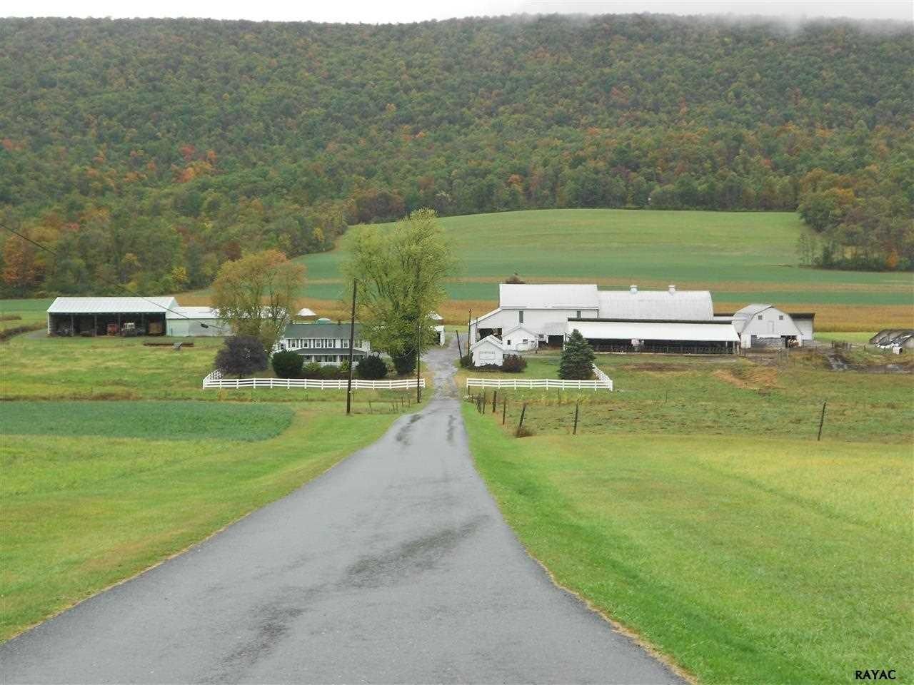 228.42 Acres, 3994 Blain Road, Andersonburg, PA 17047 Land and Farm