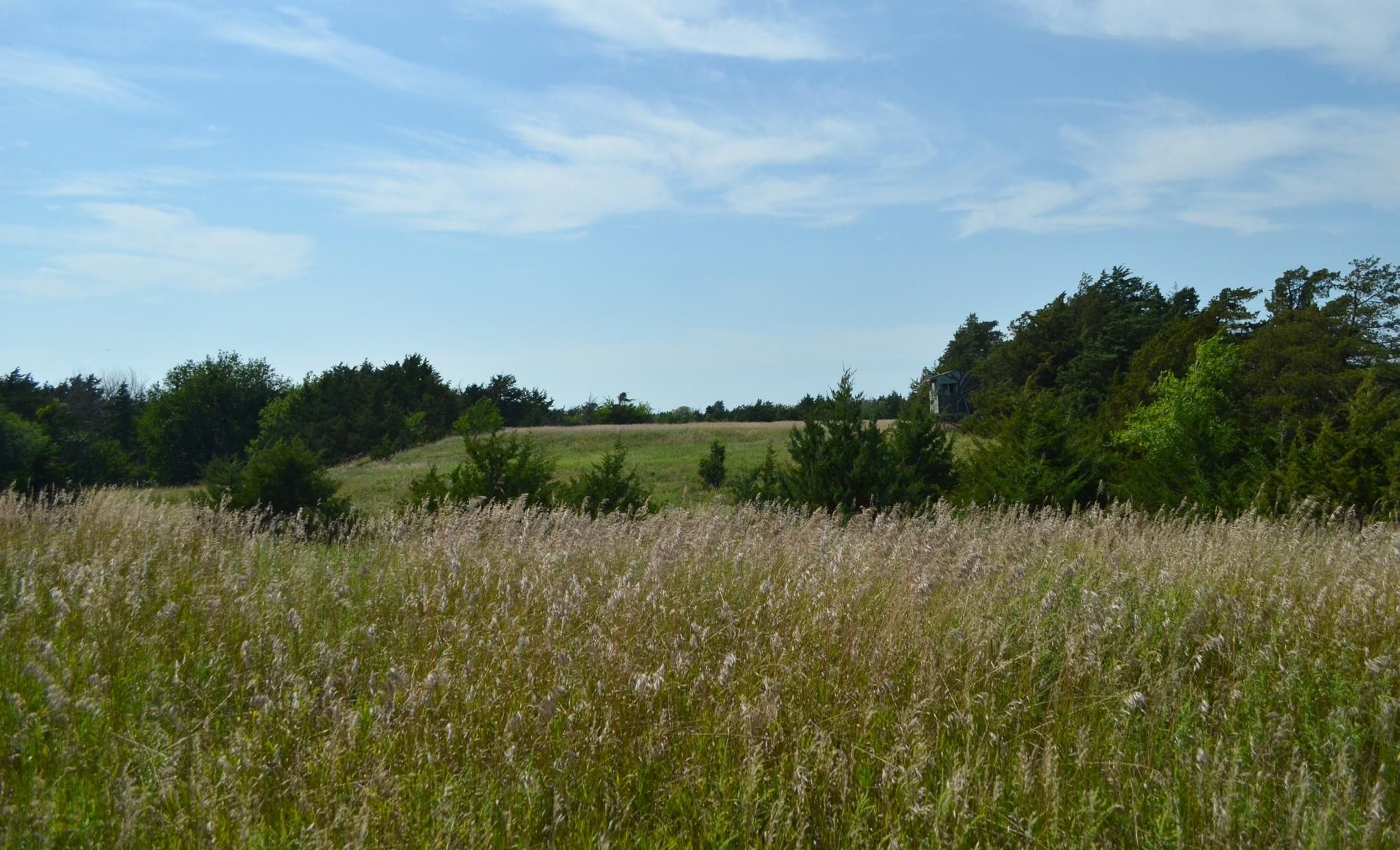 88 Acres, 2201 North M Road, Marquette, NE 68854 Land and Farm