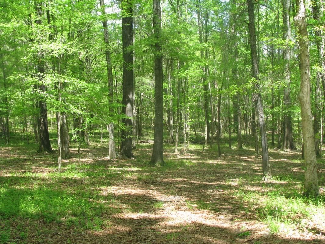 10 Acres, Cecil, AL 36013 Land and Farm