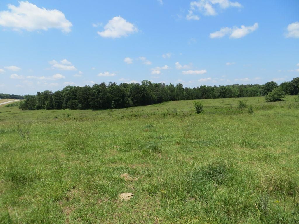 242 Acres, Auburn, AL 36830 Land and Farm