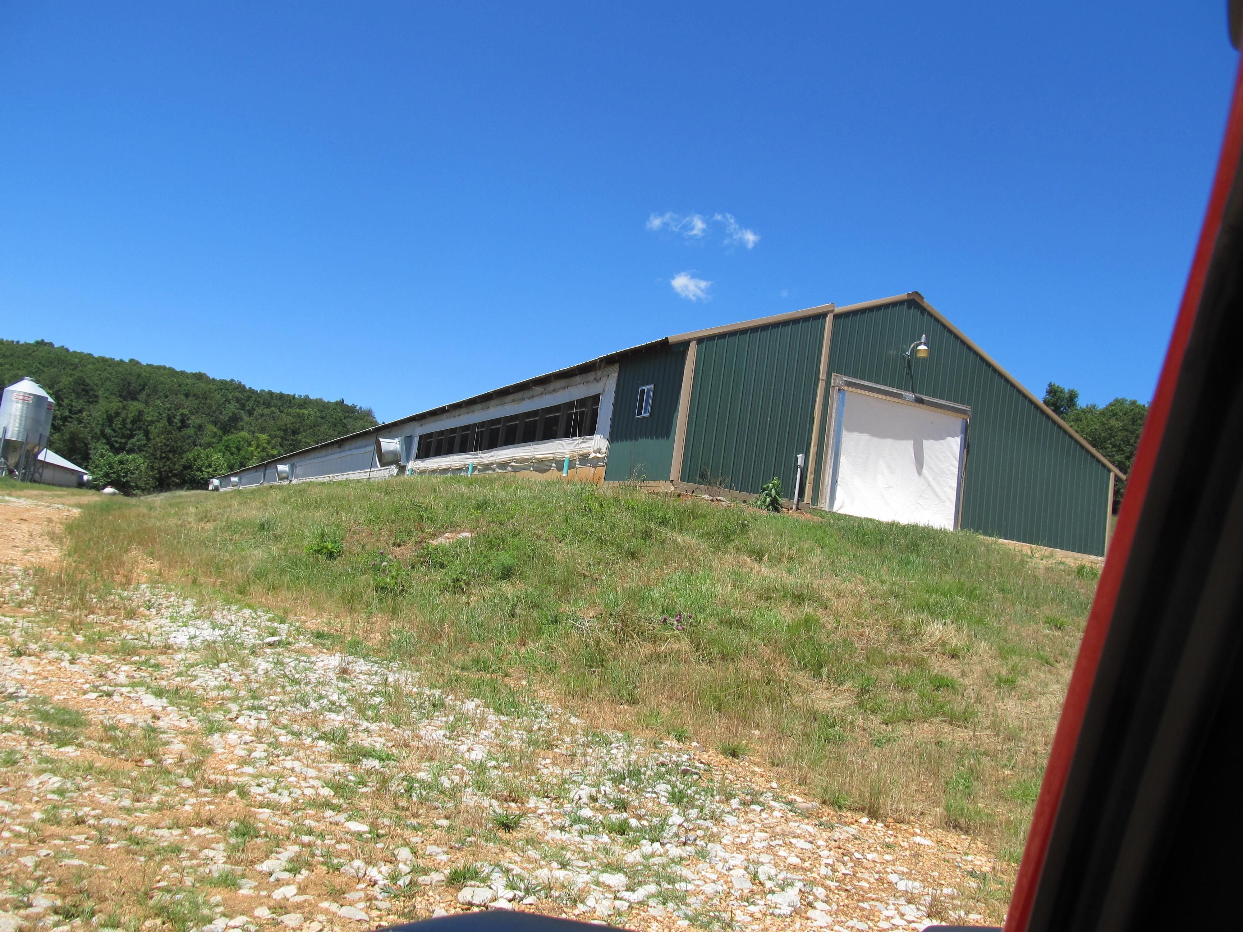 32 Acres, 1762 Madison 6555, Huntsville, AR 72740 | Land and Farm