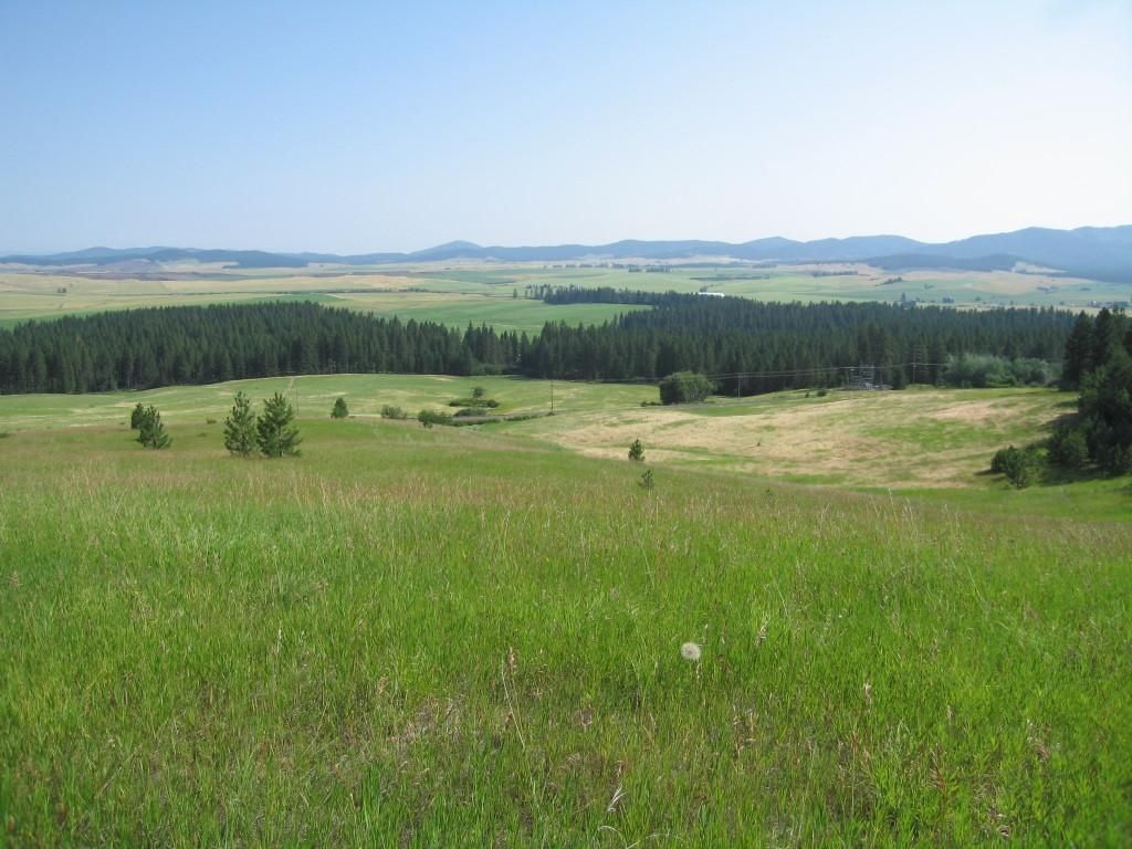 20 Acres, KNA Desmet Road, Desmet, ID 83824 Land and Farm
