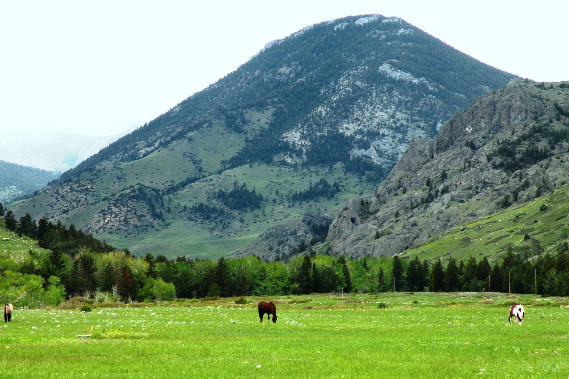 77 Acres, 2118 Stillwater River Rd, Nye, MT 59061 Land and Farm