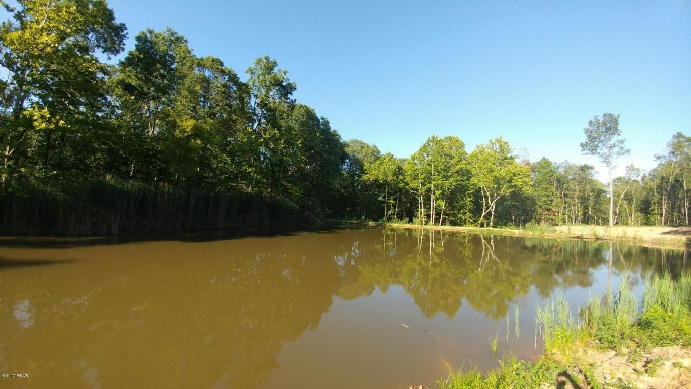 40 Acres, 8000 Block Sinclair Road, Kinmundy, IL 62854 Land and Farm