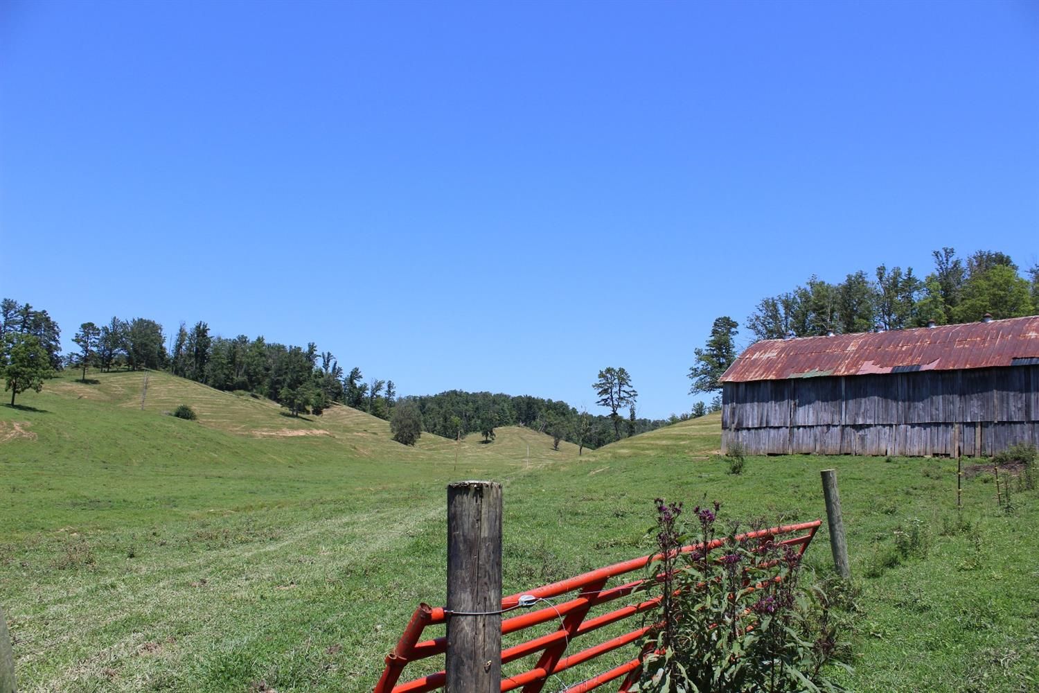 155 Acres, 2500 Trent Gosneyville Road, Campton, KY 41301 Land and Farm