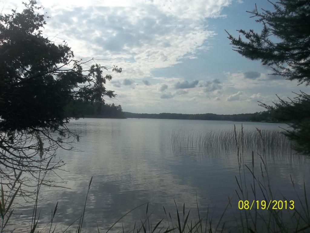 10 Acres, Dollar Drive, Curran, MI 48728 Land and Farm