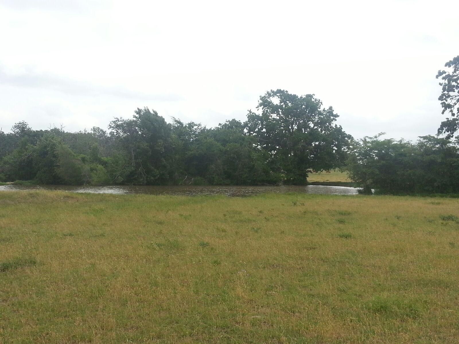 70.64 Acres, 000 CR 179, Roans Prairie, TX 77875 Land and Farm