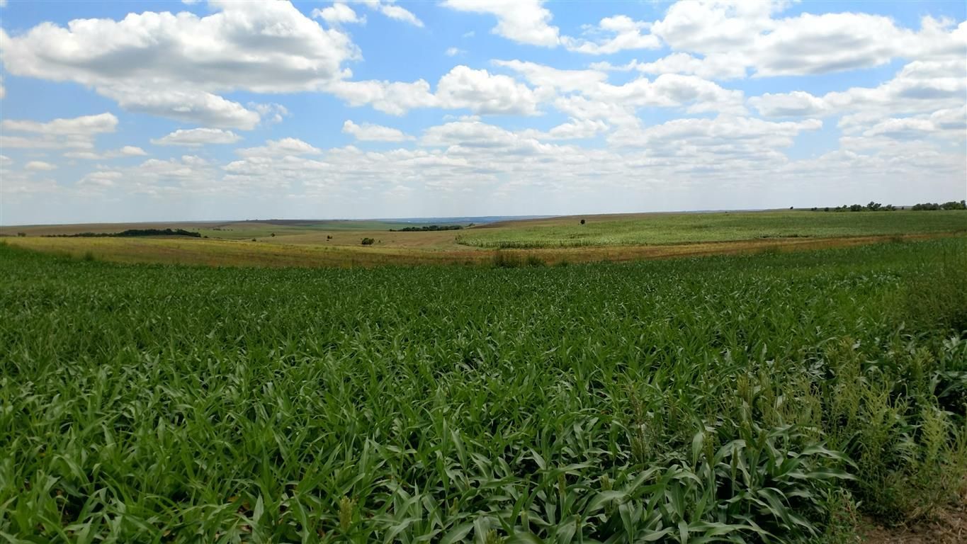 320 Acres, Sylvan Grove, KS 67481 Land and Farm