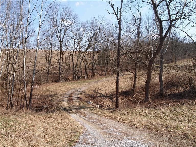 10 Acres, 0 US 42, Verona, KY 41092 Land and Farm