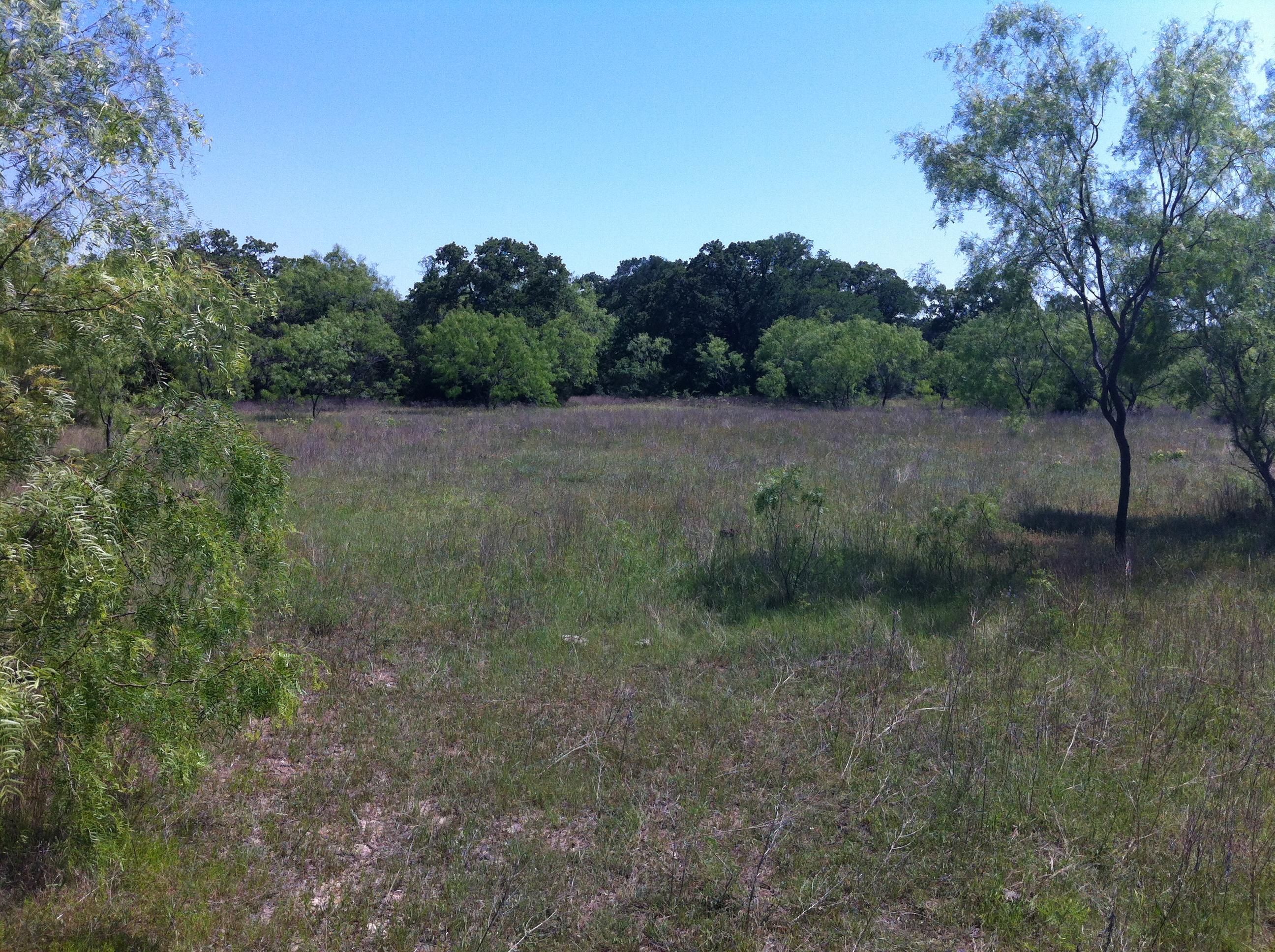 100 Acres, TBD County Line Road, Aquilla, TX 76622 Land and Farm