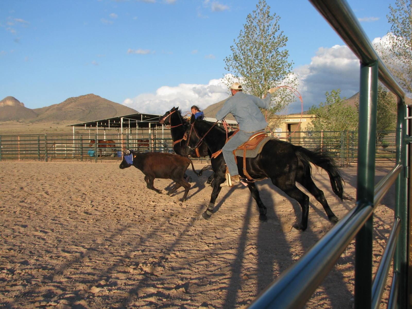 20.26 Acres, 448 Lower Elgin Road, Elgin, AZ 85611 Land and Farm