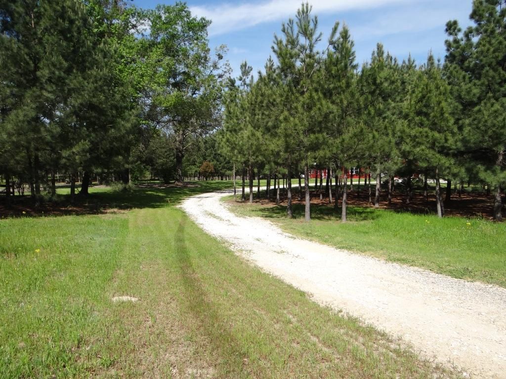 4.96 Acres, 4153 FM 1647, Winnsboro, TX 76691 Land and Farm