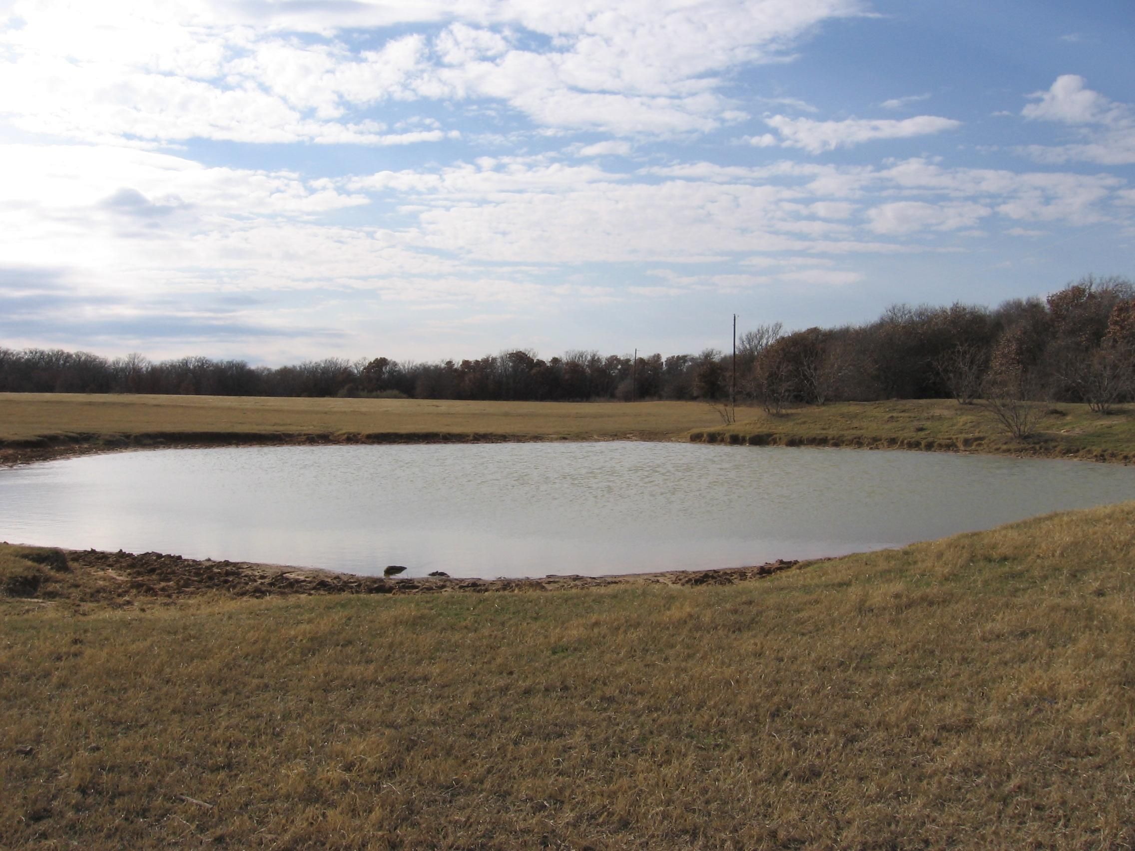 CR 119, Comanche, TX 76442 Land and Farm