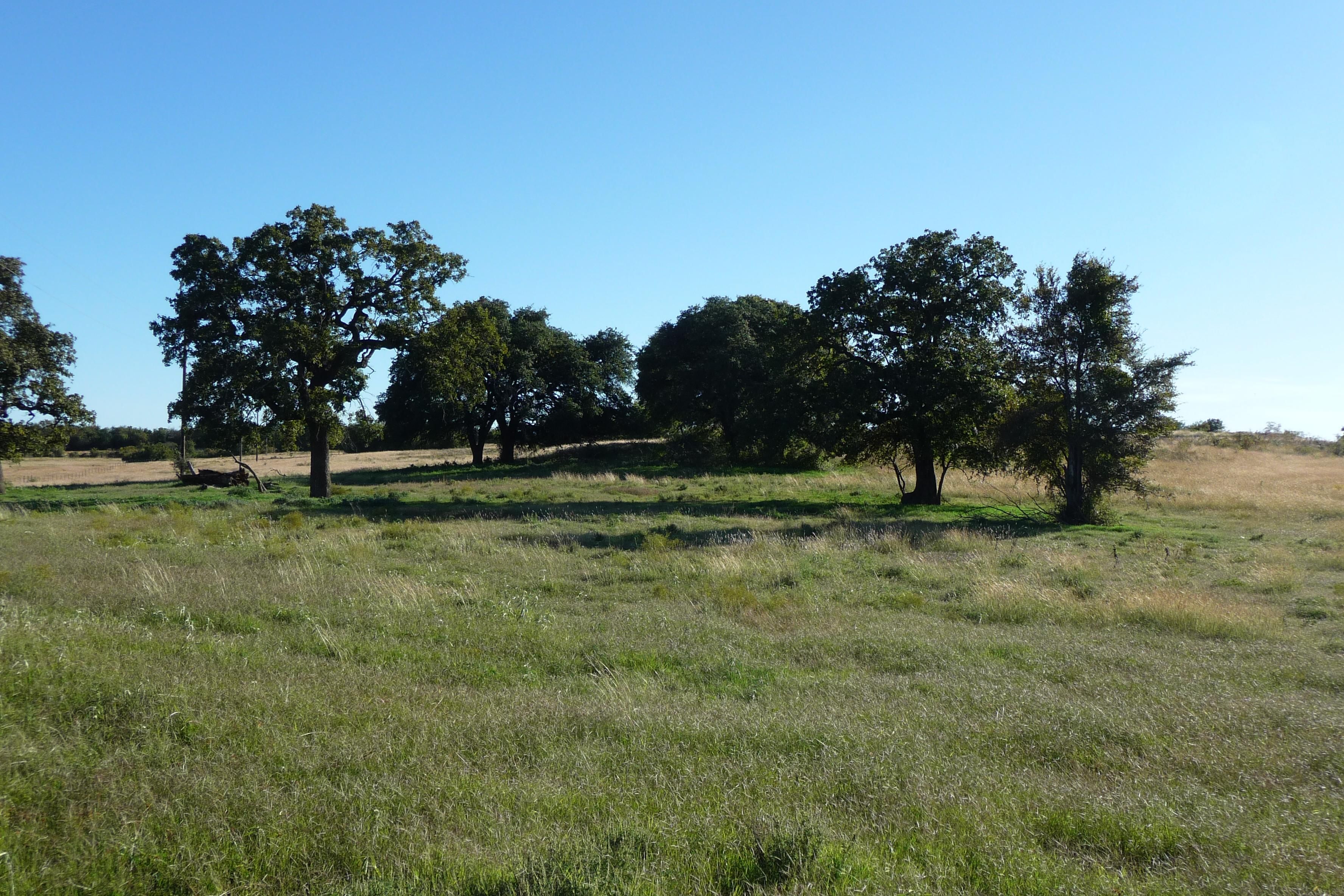 10.01 Acres, Thomas Len TrL4, Azle, TX 76020 Land and Farm