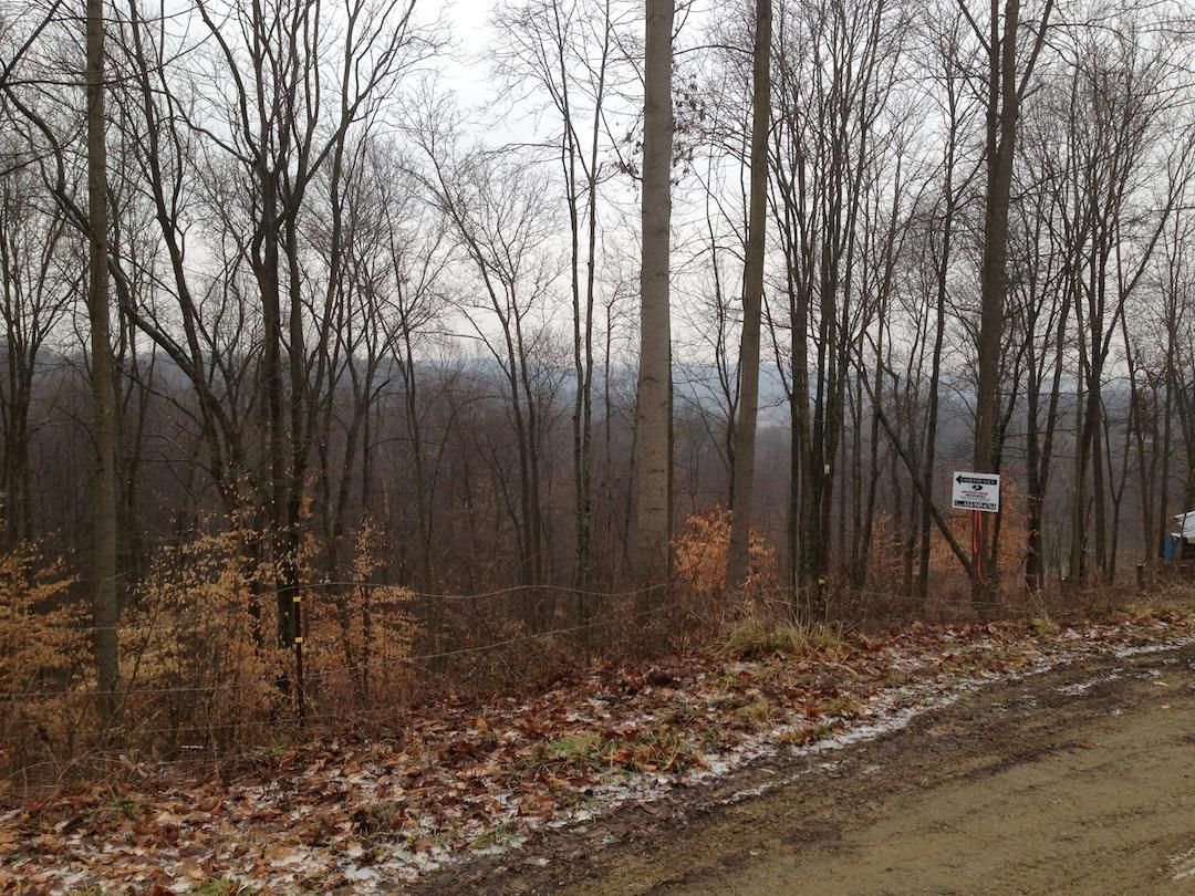 5 Acres, 0 Hereford Ln, Quaker City, OH 43773 Land and Farm