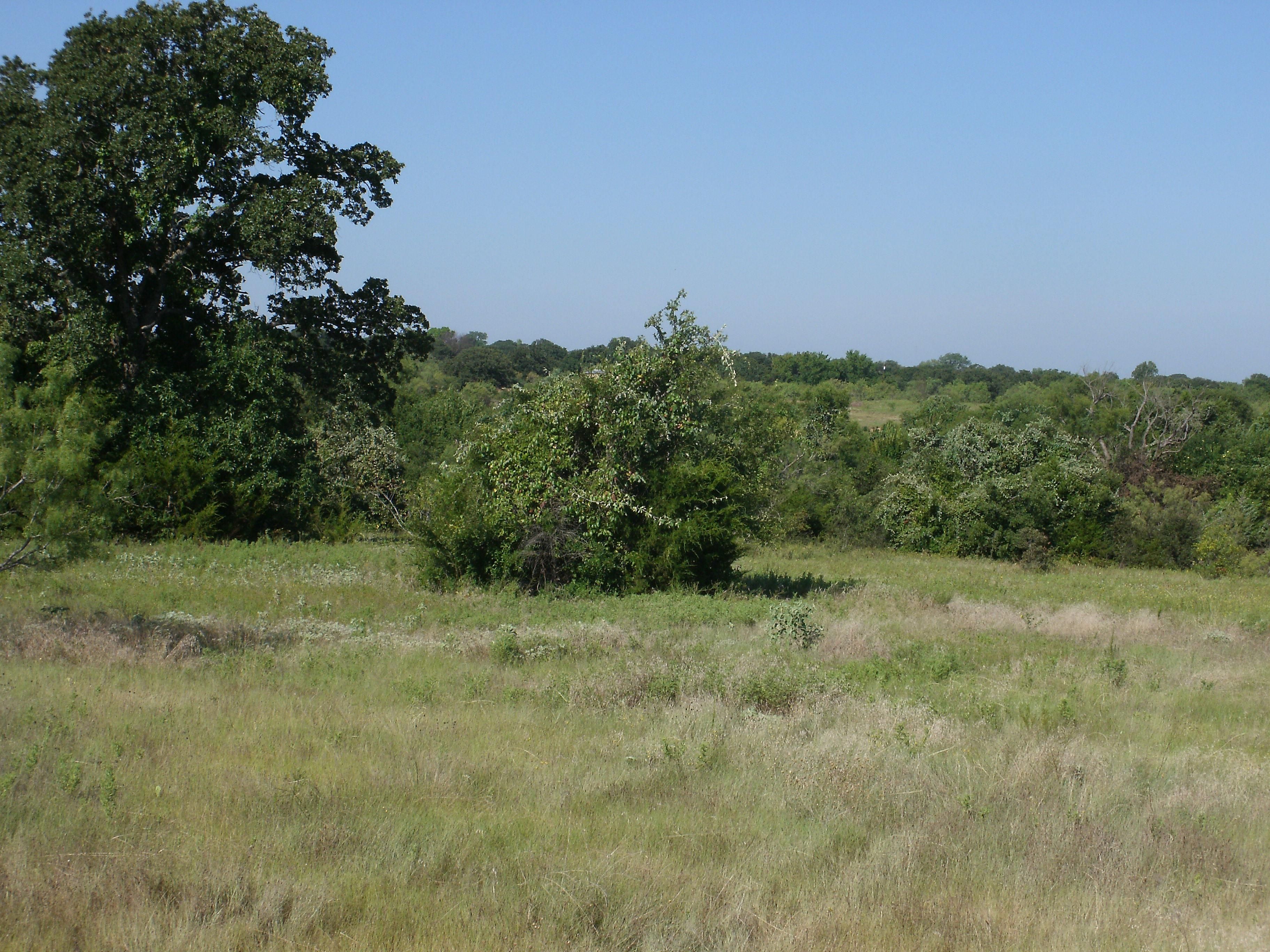70 Acres, CR 4680, Boyd, TX 76023 Land and Farm
