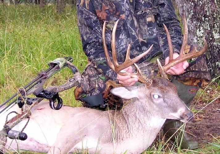 400 Acres, Speaks, TX 77985 Land and Farm