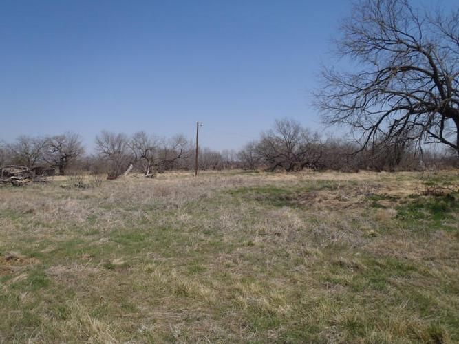 69 Acres, Jacksboro, TX 76458 Land and Farm