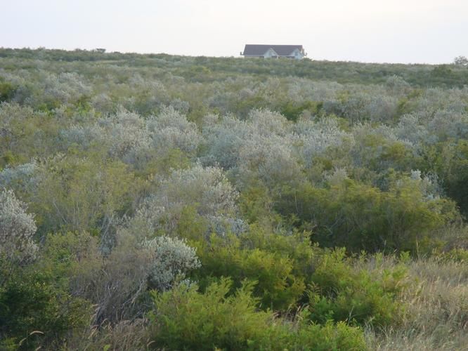 1,488 acres in McCook, TX, 78582 Land and Farm