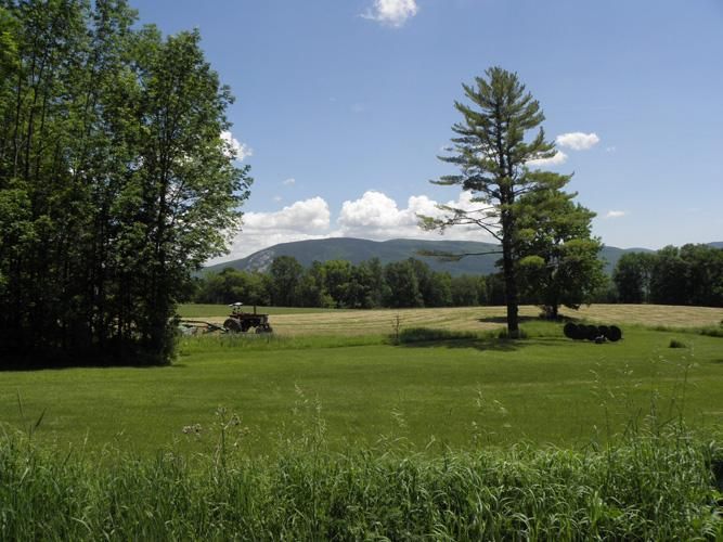 132 Acres, Wallingford, VT 05773 Land and Farm