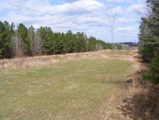 40 Acres, McNeil, AR Land and Farm