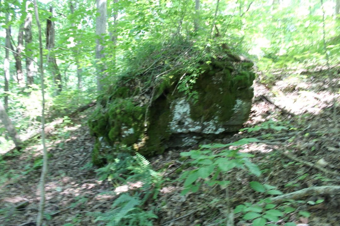 28.5 Acres, Mount Union Rd, Rutland, OH 45775 Land and Farm