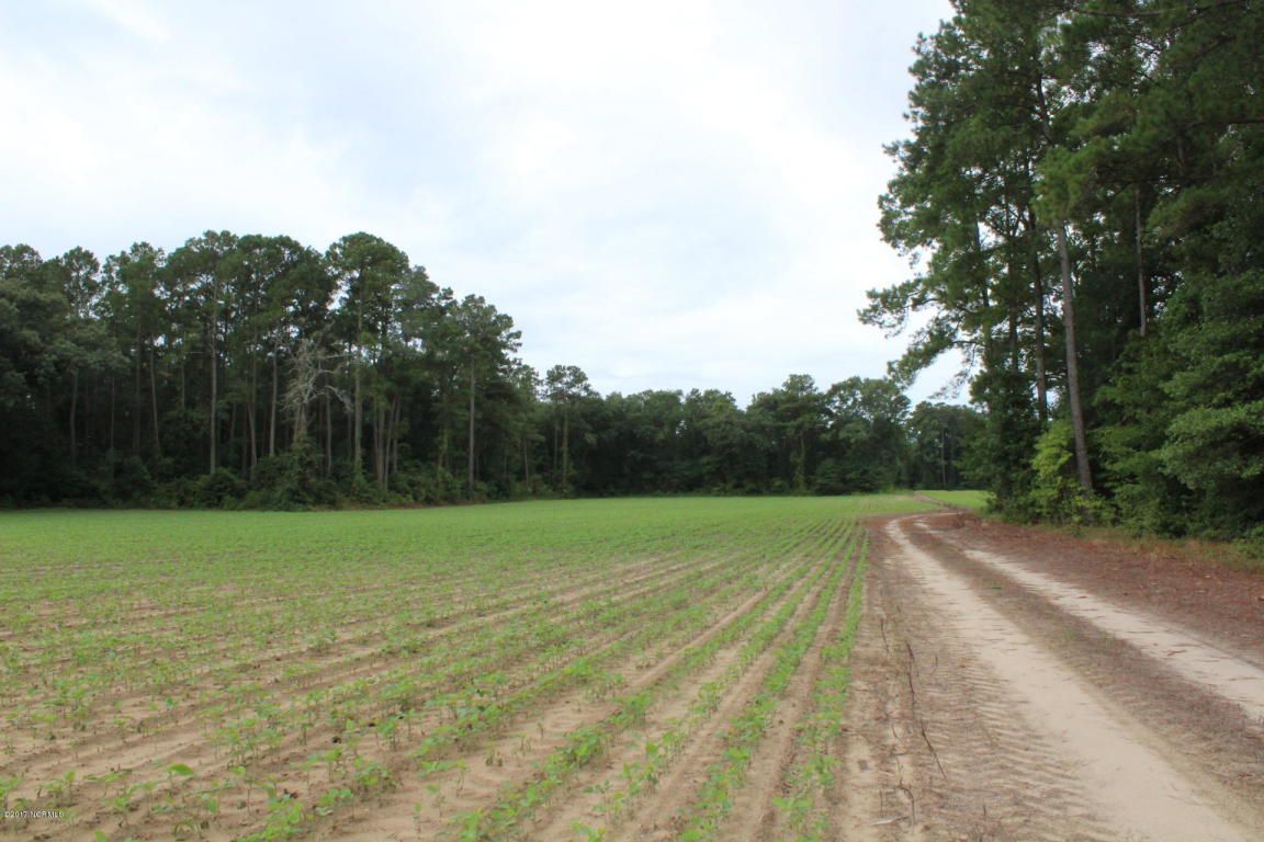 10 Acres, 6745 River Road, Vanceboro, NC 28586 Land and Farm