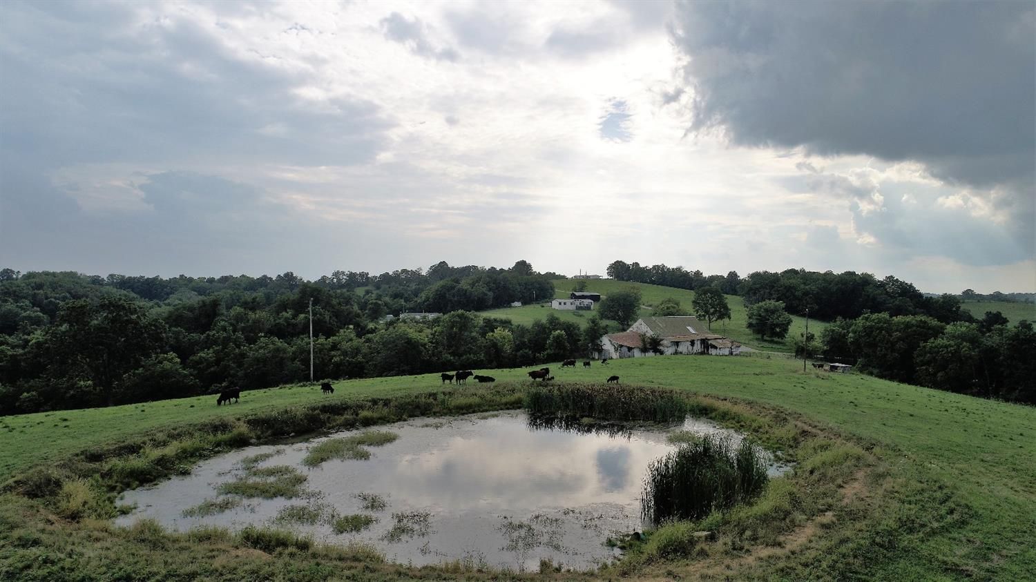 100 Acres, 9999 Sharp Road, Sharpsburg, KY 40374 Land and Farm