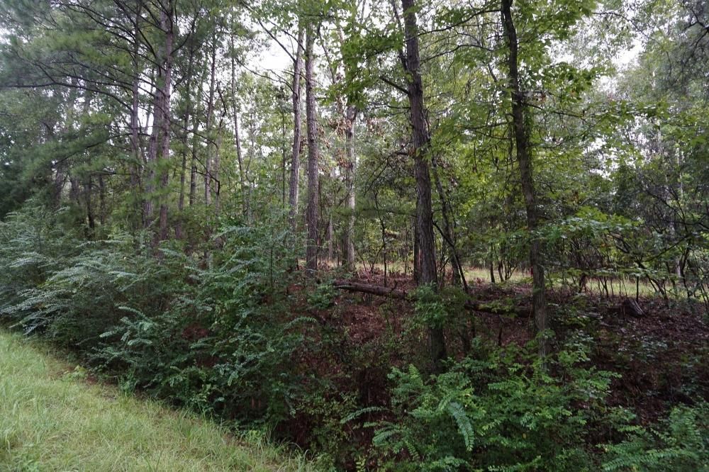 County Road 50, Moundville, AL 35474 Land and Farm