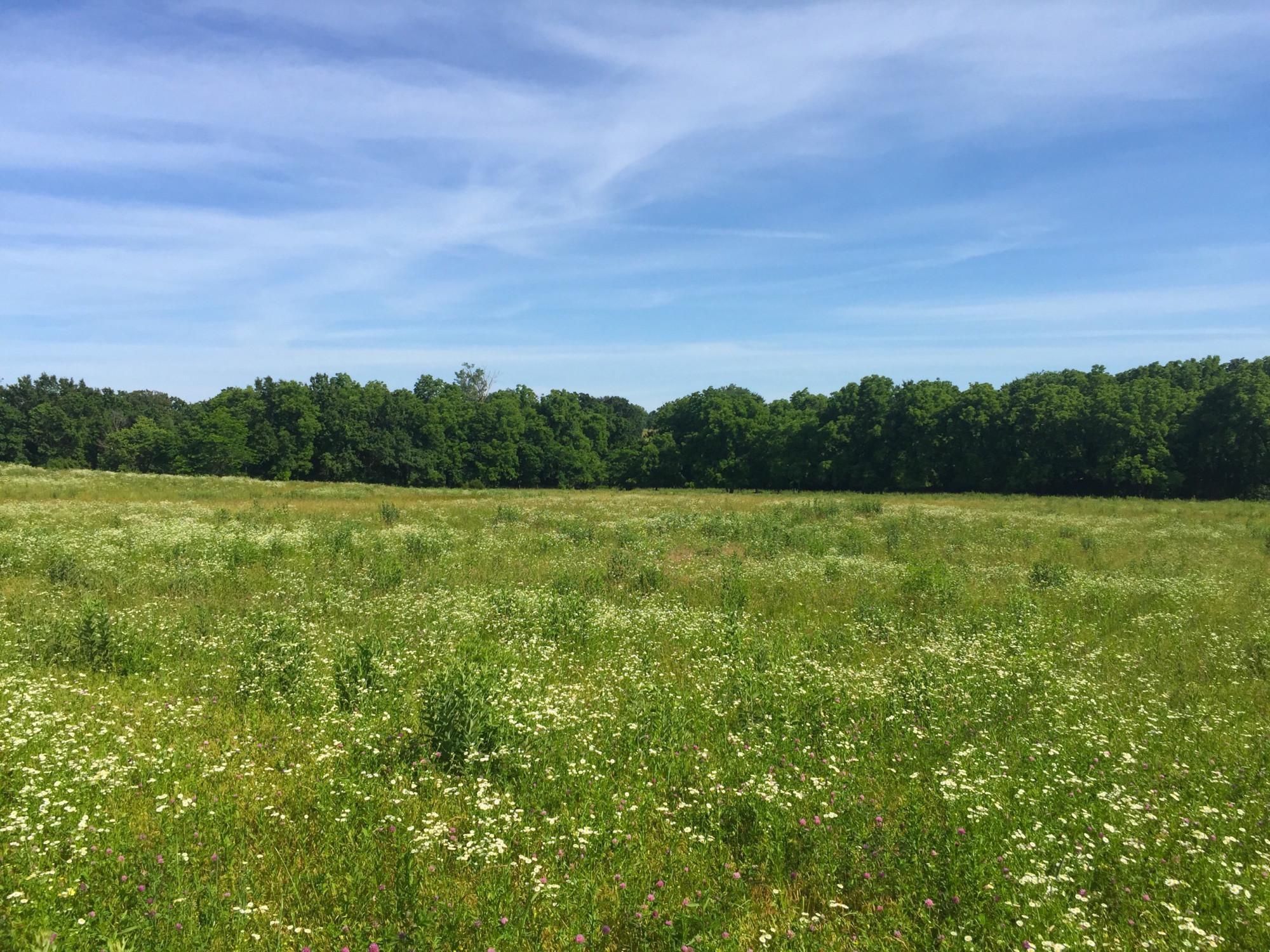 70 Acres, DD Highway, Warrensburg, MO Land and Farm