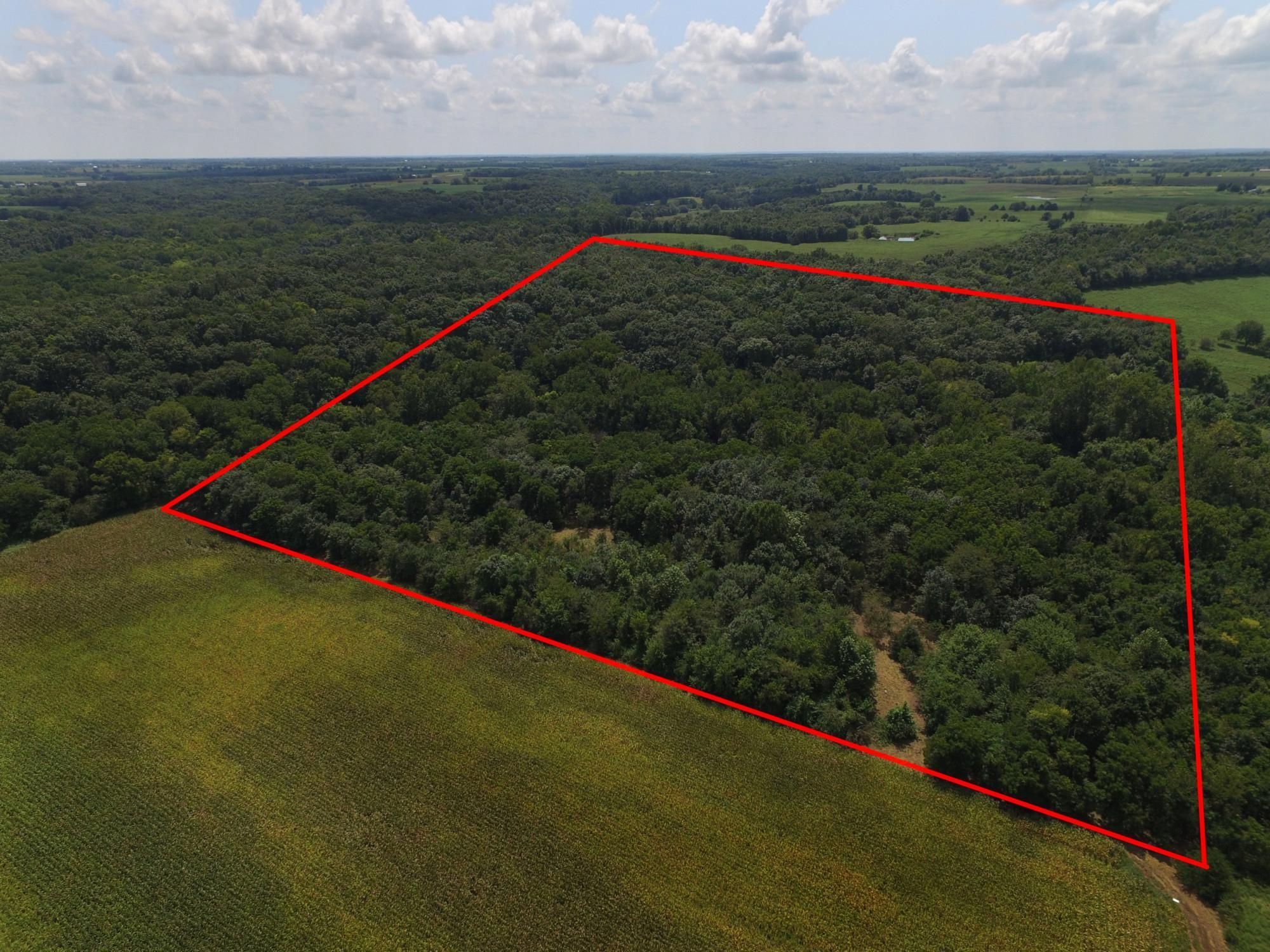 40 Acres, SE 850th Road, Leeton, MO Land and Farm