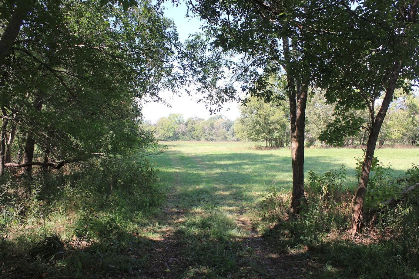 276 Acres, 358th S 447th Rd, Salina, OK Land and Farm