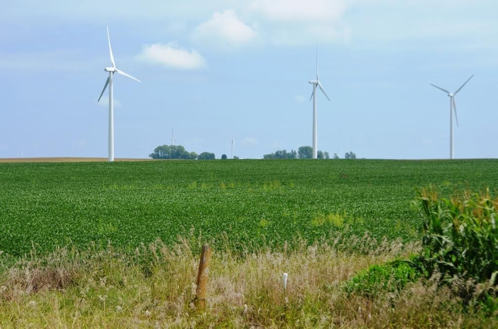 787 Acres, Zearing, IA 50278 Land and Farm