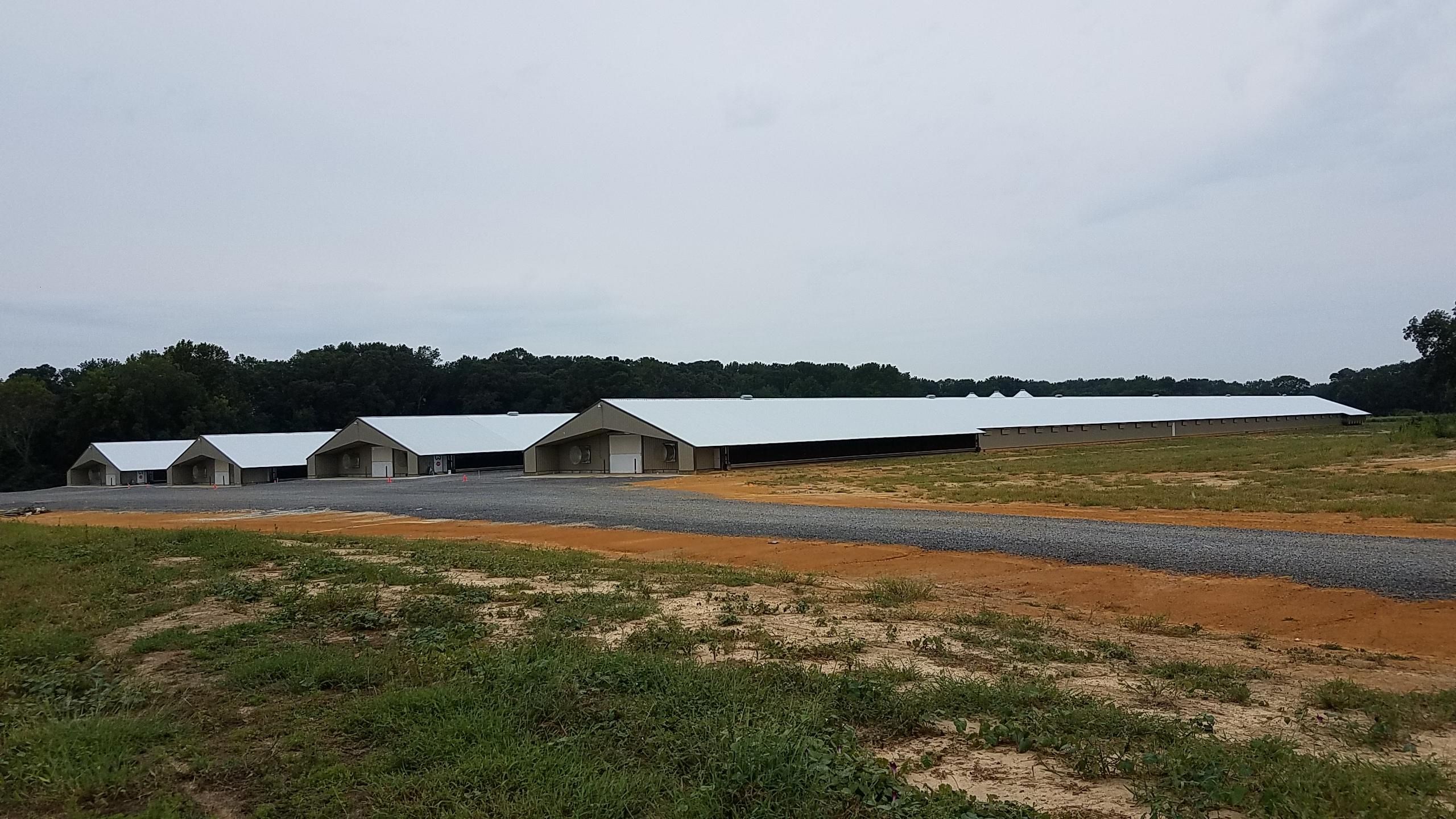 51 Acres, Niles Road, Boaz, AL 35957 Land and Farm