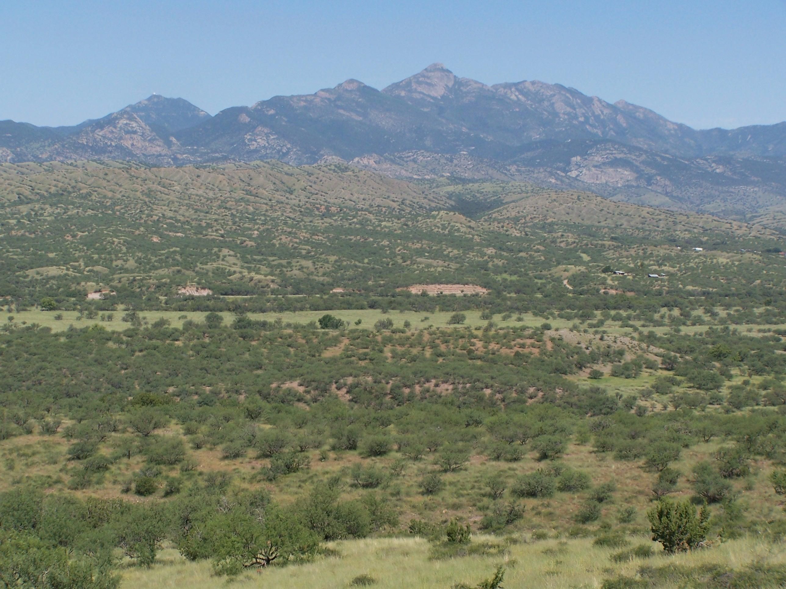 36 Acres, Arizona 82, Patagonia, AZ 85624 Land and Farm