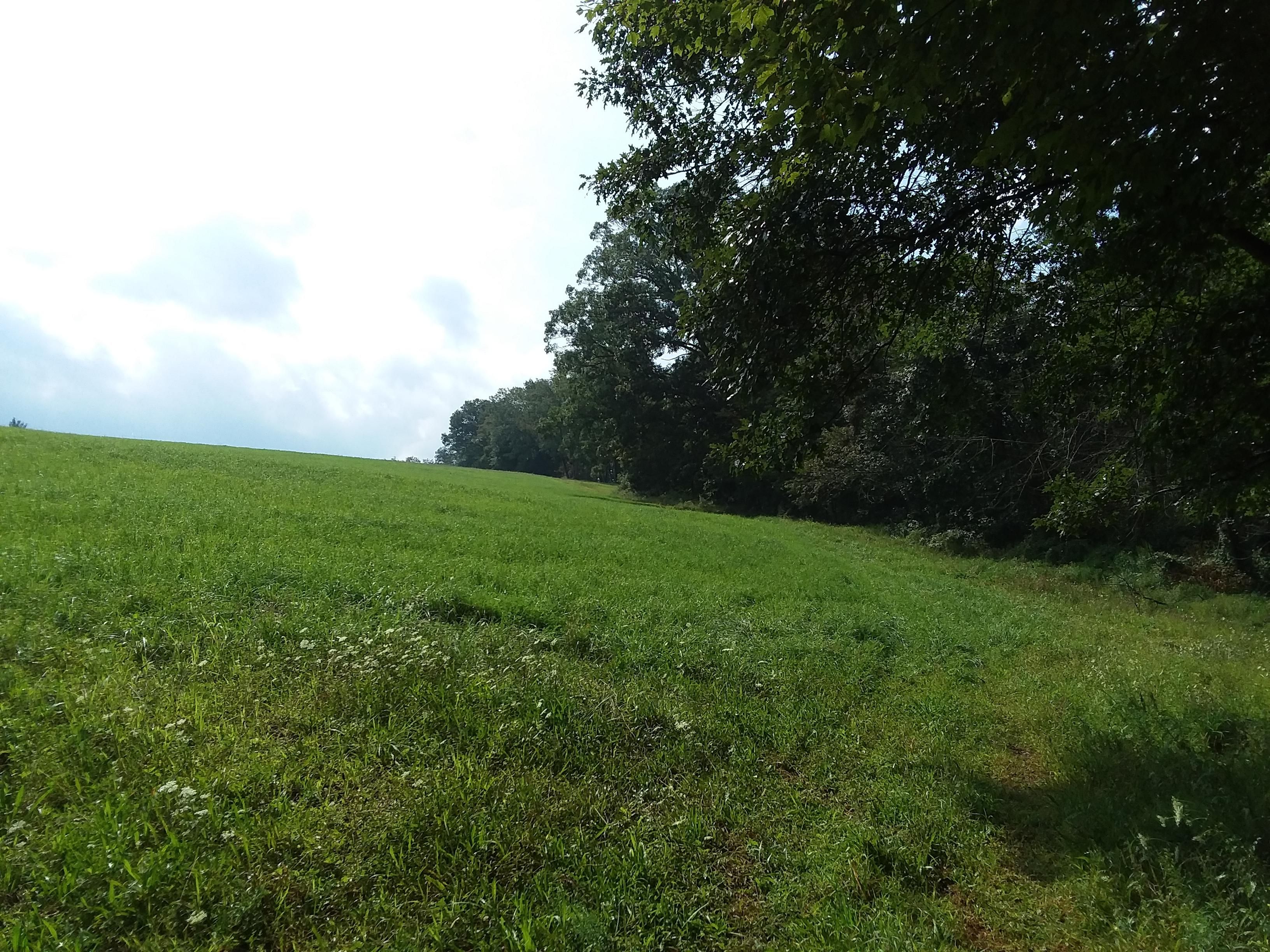28.84 Acres, 00 Locust Run Rd, Thompsontown, PA 17094 Land and Farm