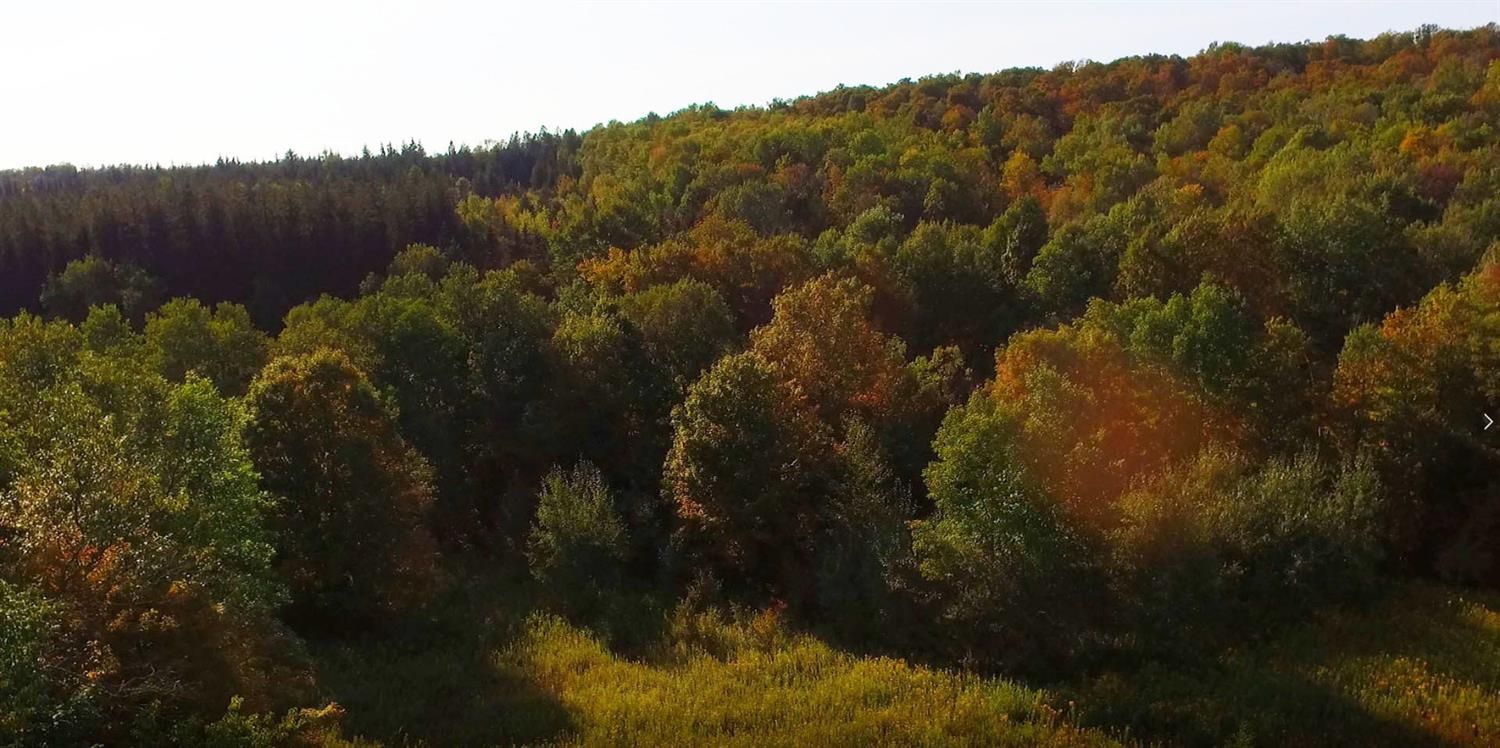 10 Acres, 0 Curncross Road, Smyrna, NY 13464 Land and Farm